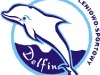 delfin1